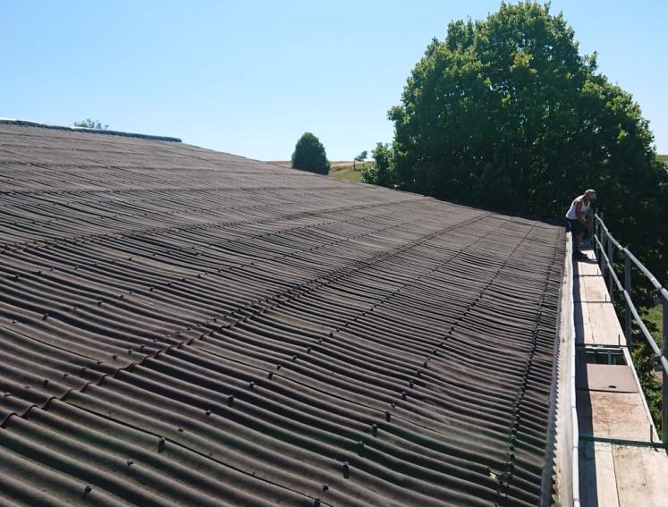 Blick auf ein mit Bitumenwellplatten gedecktes Dach.
