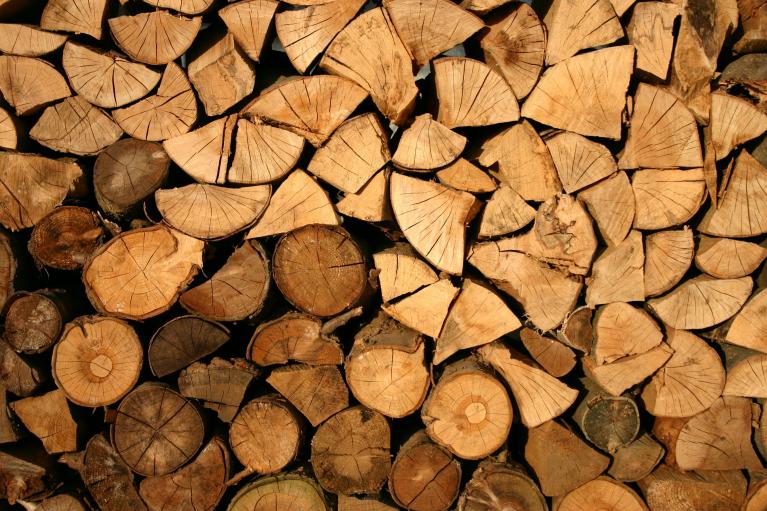 Gestapeltes Holz unter einem selbstgebauten Holzunterstand.