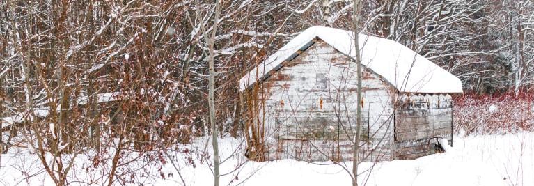 Gartenhaus winterfest machen