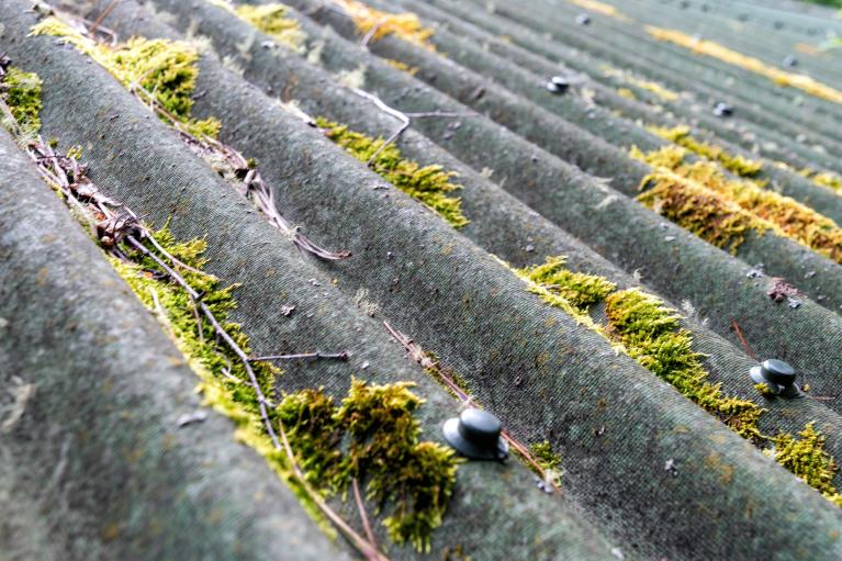 Ein moosbewachsenes Dach.